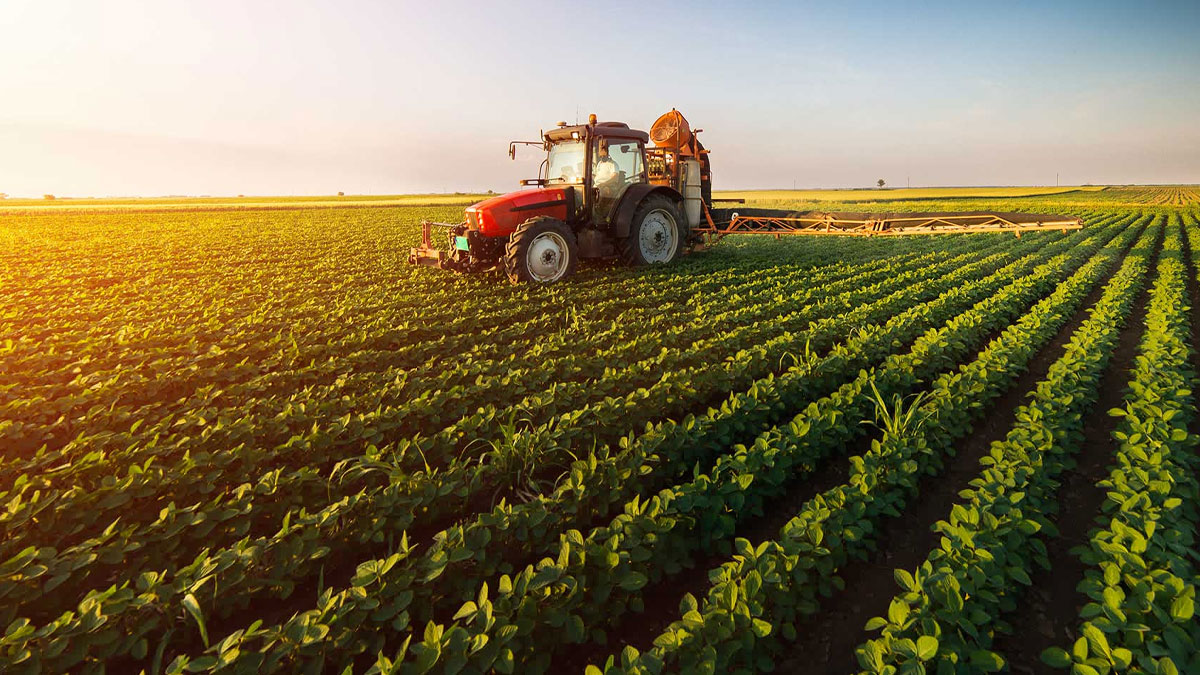 Smart agriculture is the key - Weekly Cutting Edge